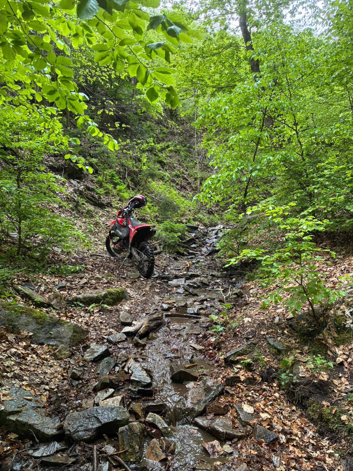 Enduro riding in Czech Republic — 2